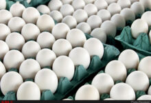 سیر صعودی تخم مرغ در بازار
