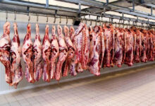 قیمت گوشت قرمز در بازار چند خریداری می شود؟