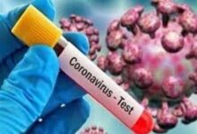شناسایی ۲۳۱۶ بیمار جدید کووید۱۹ در کشور
