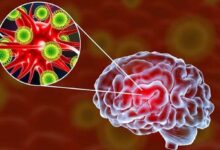 ویروس کرونا چگونه وارد مغز می‌شود؟