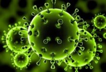 آخرین یافته‌ها از جهش ویروس کرونا در ایران