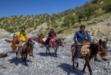 سری جدید «ایرانگرد» نوروز ۱۴۰۰ روی آنتن شبکه یک می‌رود