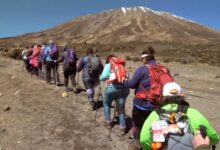 برندگان جشنواره فیلم بنتونویل معرفی شدند