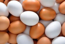 عرضه اینترنتی ۳۰۰ تن تخم مرغ با نرخ مصوب