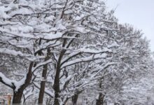 بارش برف و باران در بیشتر نقاط کشور/ کاهش دما تا ۱۲ درجه