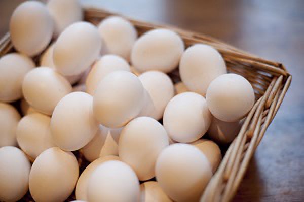 توزیع روزانه ۸۰ تن تخم مرغ در تهران