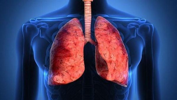 تولید دارویی که از پیشرفت سرطان ریه جلوگیری می‌کند