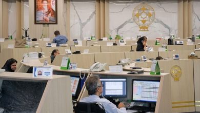 بورس غرق در بی اعتمادی و استقبال بی نظیر از همستر