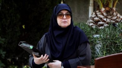 فیلم/ گزینه دولت برای وزیر اقتصاد از زبان سخنگو