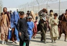 هزینه 18 میلیارد دلاری افغان ها از جیب ملت/ آقای قالیباف جلوی فاجعه را بگیرید