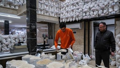 چراغ قرمز بازار برنج به سخنان وزیر جهاد/ برنج 330 هزار تومان شد 