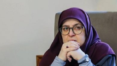 واکنش سخنگوی دولت به قتل الهه حسین نژاد