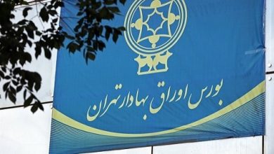 دارایی سهامداران از امروز بیمه می شود+ جزئیات