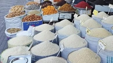 فیلم/ قیمت برنج به پایین تر از 100 هزار تومان نمی رسد