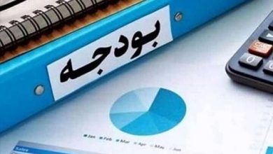حمایت از پزشکیان برای برچیدن بساط بودجه خواران