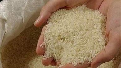 قول جدید برای کاهش قیمت برنج، مردم نگران نباشند!