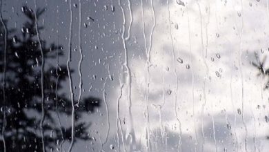 رگبار، وزش باد و گردوخاک در راه 12 استان/ کاهش دما از پنج شنبه