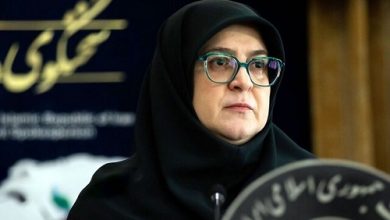 فیلم/ سخنگوی دولت: درباره موضوع قیمت بنزین به جمع بندی نرسیده ایم