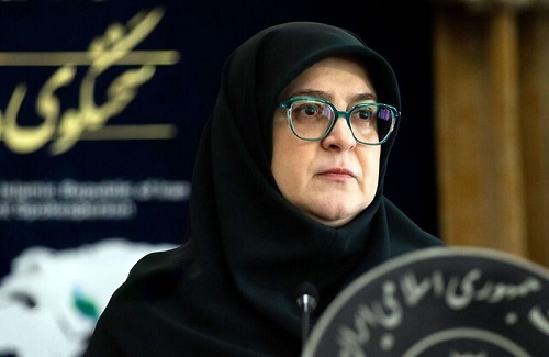 فیلم/ سخنگوی دولت: درباره موضوع قیمت بنزین به جمع بندی نرسیده ایم