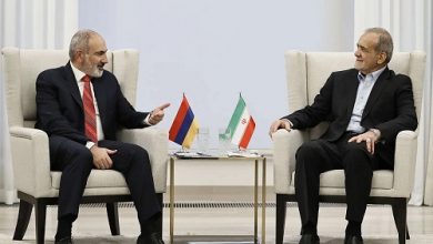 دیدار خصوصی پزشکیان و پاشینیان