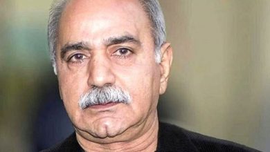 فیلم/ واکنش تند پرویز پرستویی به انتقاد یک نماینده مجلس از “پیرپسر”