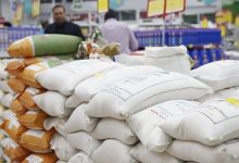 احتکار دلالان و تعلل کشاورزان علت گرانی برنج