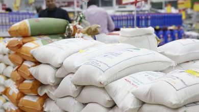 احتکار دلالان و تعلل کشاورزان علت گرانی برنج