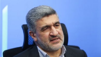 برنامه صیدی برای عرضه خودروهای خارجی در بورس