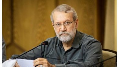 فیلم/ کنایه لاریجانی به خبرنگار صدا و سیما: مطالبتون درست در نیومد