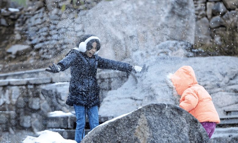 سرمای شدید در راه | بارش برف و باران و وزش باد کشور را فرا می گیرد 1 اکوبورس