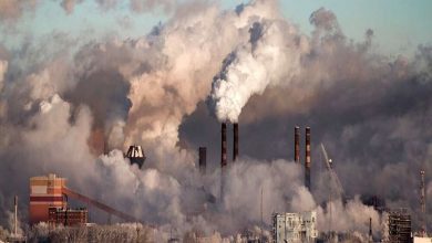 اتفاق بدی که ۱۰ سال است در تهران نمیافتد 9 اکوبورس