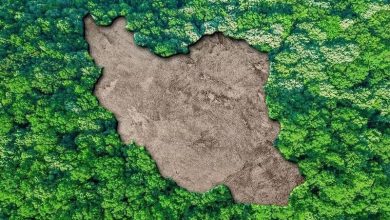 زیست سالم، حق فراموش شده ایرانیان 7 آلودگی هوا