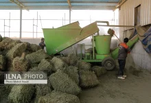 خالی فروشی وزارت نفت و بانک مرکزی/ اثر اختلالات ارزی بیشتر از تحریمهاست 3 اکوبورس