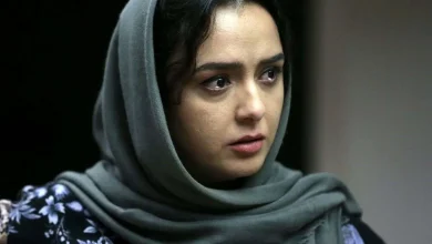 ۵ روزنامه اصولگرا علیه مستند ترانه علیدوستی چه نوشتند؟ 4 اکوبوری