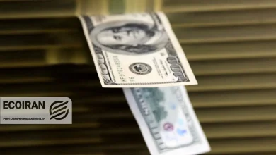 قیمت دلار امروز یکشنبه 7دی/ افزایش قیمت ادامه دارد 5 دلار