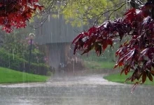 هواشناسی تهران اطلاعیه داد/ امروز بارش باران و برف، وزش باد و کاهش ابر از شامگاه 9 اکوبورس