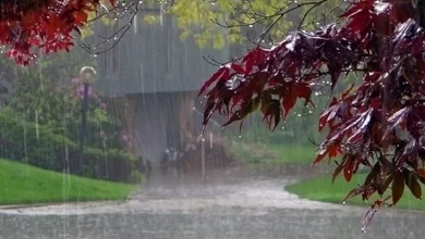 هواشناسی تهران اطلاعیه داد/ امروز بارش باران و برف، وزش باد و کاهش ابر از شامگاه 7 اکوبورس