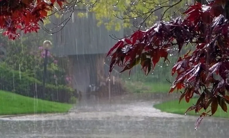 هواشناسی تهران اطلاعیه داد/ امروز بارش باران و برف، وزش باد و کاهش ابر از شامگاه 1 اکوبورس