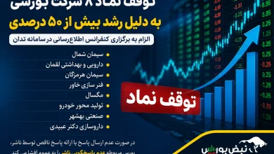 بورس تهران ۱۳ نماد را متوقف کرد | این ۱۳ نماد چرا متوقف شدند؟