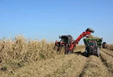 کار در گرمای جنوب با حقوق ۱۵ میلیونی! 3 کار در گرمای جنوب با حقوق ۱۵ میلیونی!