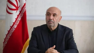 وزیر رفاه: افزایش مبلغ کالابرگ بررسی میشود 7 وزیر رفاه: افزایش مبلغ کالابرگ بررسی میشود