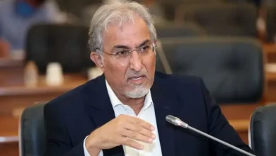 حسین راغفر: سیاست مشخصی برای مهار تورم وجود ندارد 6 حسین راغفر: سیاست مشخصی برای مهار تورم وجود ندارد