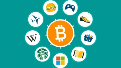 آیا موج جدید پذیرش بیت کوین توسط شرکتهای بزرگ تازه آغاز شده است؟ 7 آیا موج جدید پذیرش بیت کوین توسط شرکتهای بزرگ تازه آغاز شده است؟