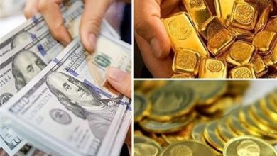 بازارکمعمق ارز چگونه نرخ تعیین میکند؟/معمای انتظارات تورمی 7 بازارکمعمق ارز چگونه نرخ تعیین میکند؟/معمای انتظارات تورمی