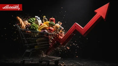 خداحافظی خانوارها با سفر و مهمانی 6 خداحافظی خانوارها با سفر و مهمانی