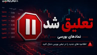 توقف نماد «ولراز» در فرابورس تا بیستم آبان ماه 5 توقف نماد «ولراز» در فرابورس تا بیستم آبان ماه
