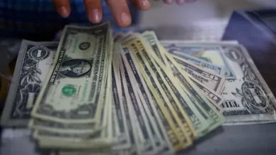 قیمت دلار امروز سه شنبه ۱۴ مهر ۱۴۰۵ 7 قیمت دلار امروز سه شنبه ۱۴ مهر ۱۴۰۵