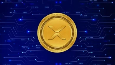 بازار رمزارزها/ چرا ریپل از بیتکوین و اتریوم عقب ماند؟ 7 بازار رمزارزها/ چرا ریپل از بیتکوین و اتریوم عقب ماند؟