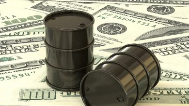 استعفای پاکنژاد؛ پول نفت کجاست؟ 5 استعفای پاکنژاد؛ پول نفت کجاست؟