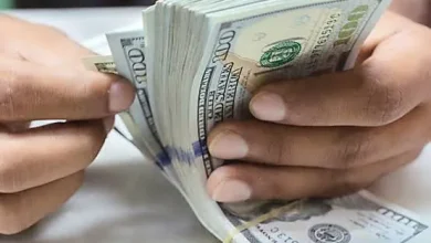 قیمت دلار و یورو امروز پنج شنبه ۲۳ مهر ۱۴۰۵ 7 قیمت دلار و یورو امروز پنج شنبه ۲۳ مهر ۱۴۰۵